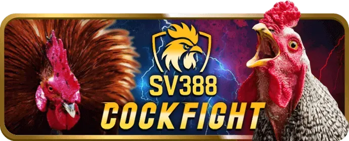 Các phương thức thanh toán đa dạng tại B52Club Casino